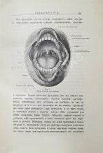 Звержховский, Ф.А. Основы дентиатрии. Руководство для врачей и студентов
