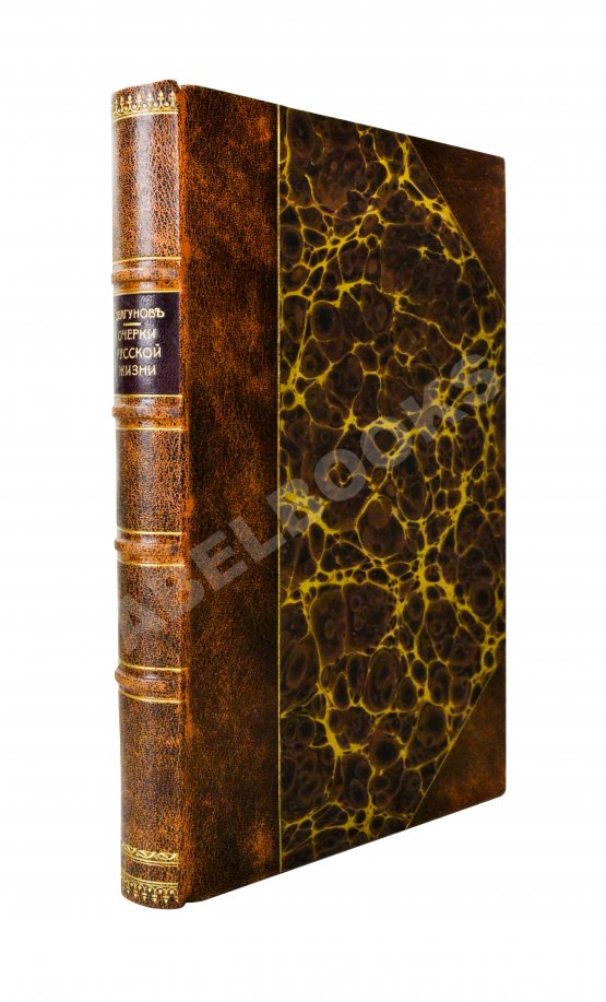 Антикварная книга Шелгунов, Н.В. Очерки русской жизни