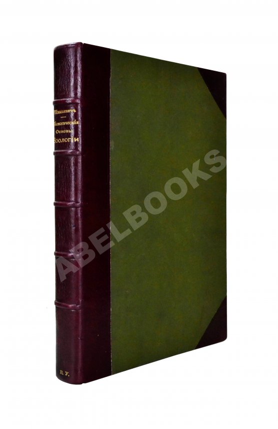 Антикварная книга Шимкевич, В.М. Биологические основы зоологии
