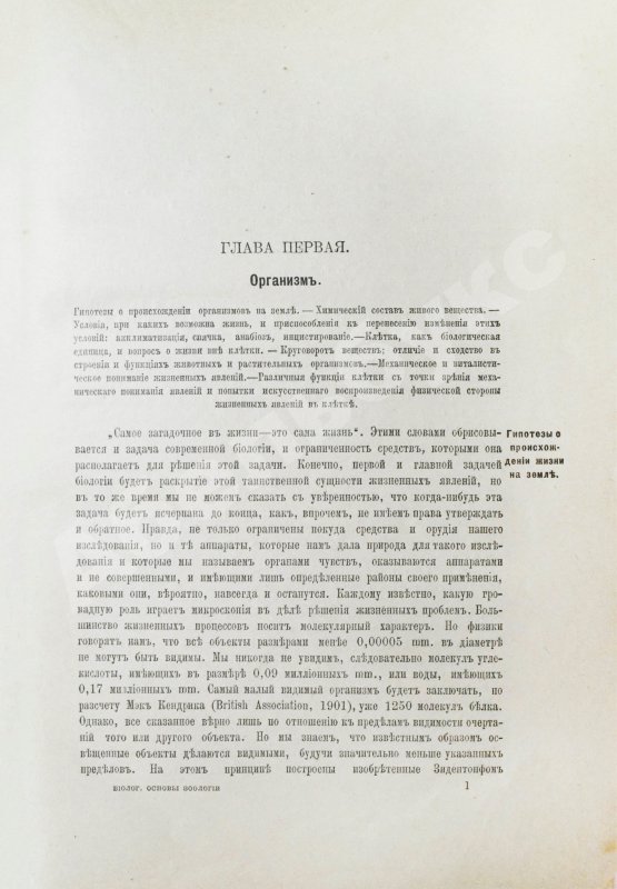 Антикварная книга Шимкевич, В.М. Биологические основы зоологии