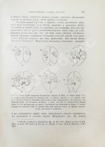 Шимкевич, В.М. Биологические основы зоологии