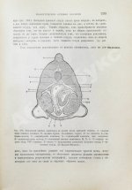 Шимкевич, В.М. Биологические основы зоологии