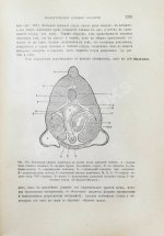 Шимкевич, В.М. Биологические основы зоологии