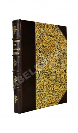 Театральные типы. Воспоминания режиссёра. (Театрал)