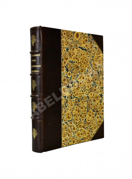 Антикварная книга Театральные типы. Воспоминания режиссёра. (Театрал)