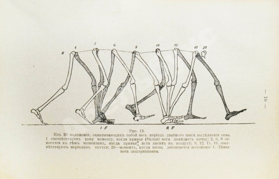 Антикварная книга Игнатьев, В.Е. Физическое воспитание. Гимнастика, спорт, подвижные игры
