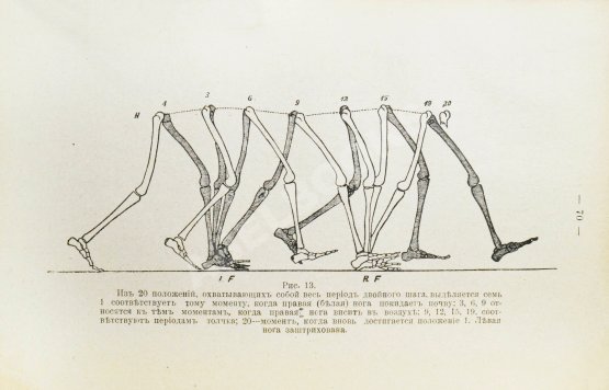 Антикварная книга Игнатьев, В.Е. Физическое воспитание. Гимнастика, спорт, подвижные игры