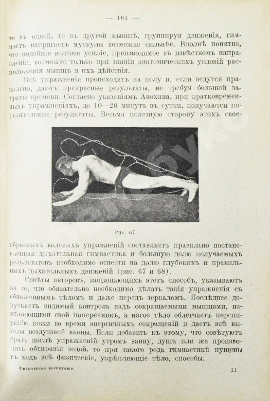 Антикварная книга Игнатьев, В.Е. Физическое воспитание. Гимнастика, спорт, подвижные игры