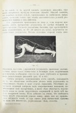 Игнатьев, В.Е. Физическое воспитание. Гимнастика, спорт, подвижные игры