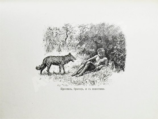 Антикварная книга Киплинг, Р. Джунгли