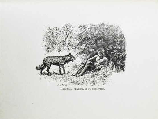 Антикварная книга Киплинг, Р. Джунгли