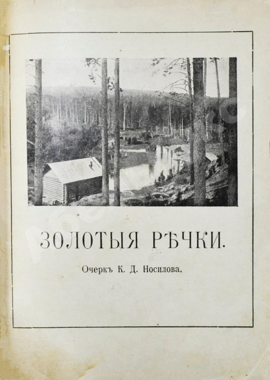 Антикварная книга Носилов, К.Д. Золотые речки. Очерк золотопромышленности