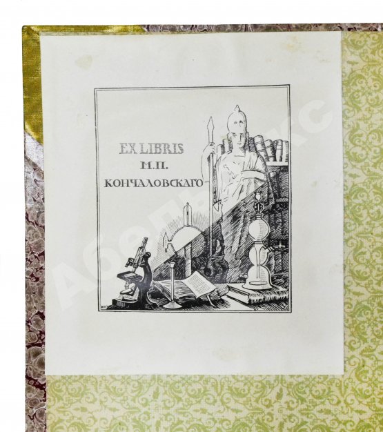 Антикварная книга Мороховец, Л.З. «Записки врача» В. Вересаева в свете профессиональной критики