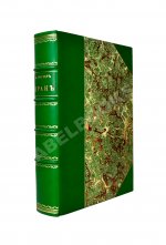 Риттер, К. Иран