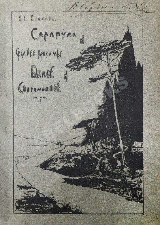 Антикварная книга Блинов, Н.Н. Сарапул и Среднее Прикамье. Былое и современное