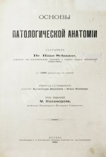 Шмаус, Г. Основы патологической анатомии