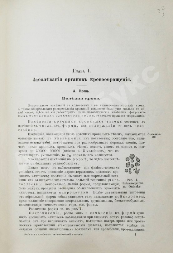 Антикварная книга Шмаус, Г. Основы патологической анатомии