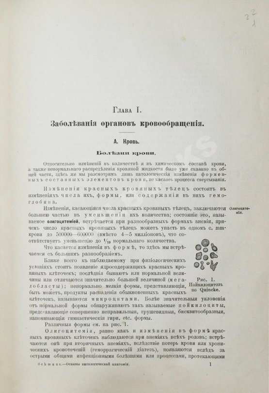Антикварная книга Шмаус, Г. Основы патологической анатомии