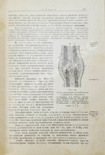 Шмаус, Г. Основы патологической анатомии