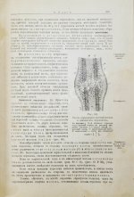 Шмаус, Г. Основы патологической анатомии