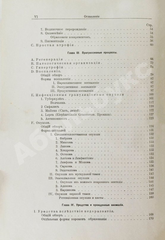 Антикварная книга Шмаус, Г. Основы патологической анатомии