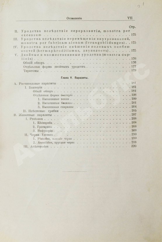 Антикварная книга Шмаус, Г. Основы патологической анатомии