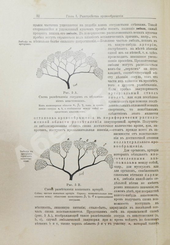 Антикварная книга Шмаус, Г. Основы патологической анатомии