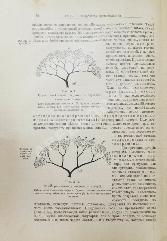 Антикварная книга Шмаус, Г. Основы патологической анатомии