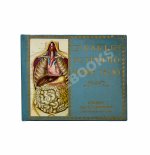 Клюнц, Г. Как устроено наше тело. Анатомия для всех