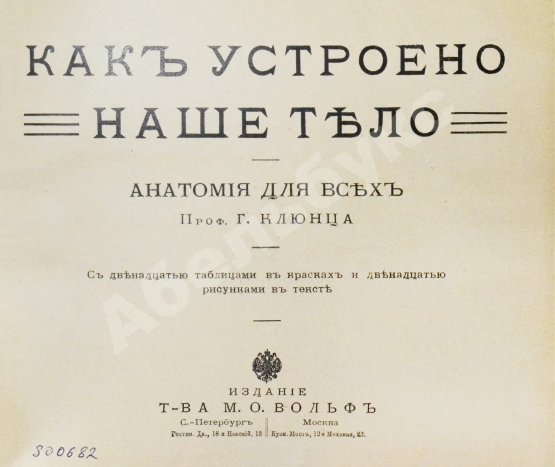 Антикварная книга Клюнц, Г. Как устроено наше тело. Анатомия для всех