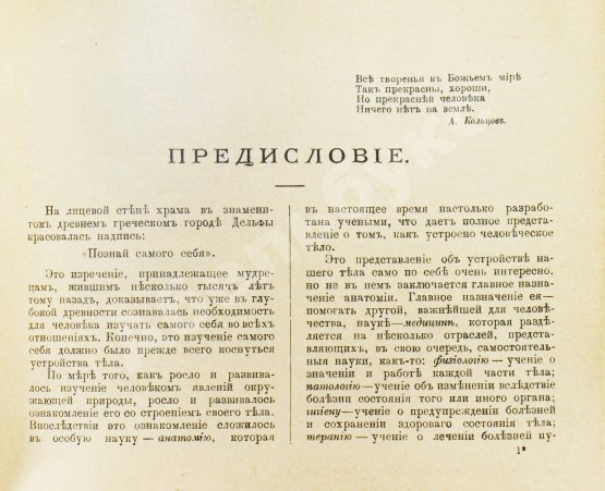 Антикварная книга Клюнц, Г. Как устроено наше тело. Анатомия для всех