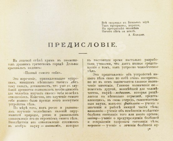 Антикварная книга Клюнц, Г. Как устроено наше тело. Анатомия для всех