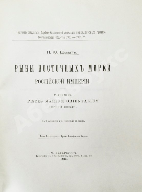 Антикварная книга Шмидт, П.Ю. Рыбы восточных морей Российской империи