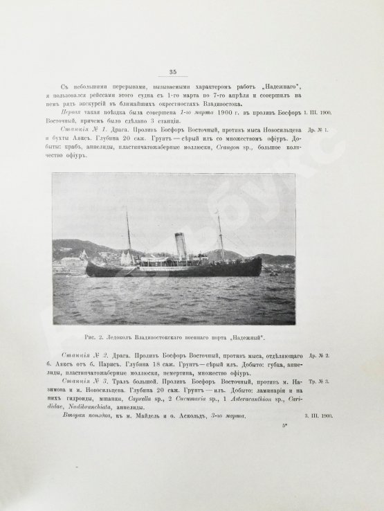 Антикварная книга Шмидт, П.Ю. Рыбы восточных морей Российской империи