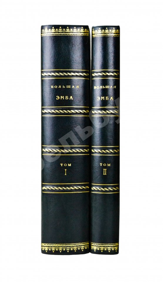 Антикварная книга Большая Эмба