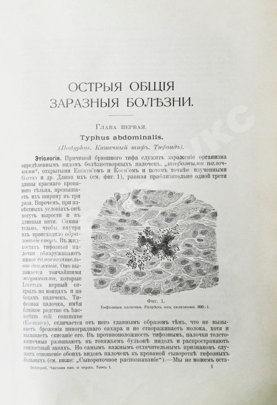 Антикварная книга Штрюмпель, А. Учебник частной патологии и терапии внутренних болезней