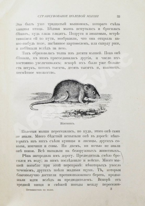 Антикварная книга Вагнер, Г. Путешествие по полю и ниве