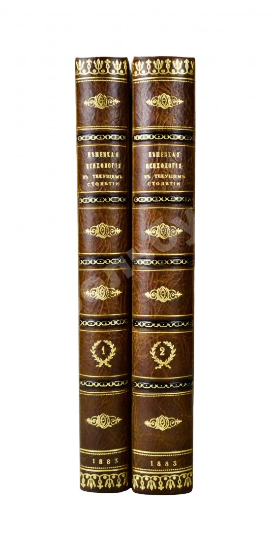 Антикварная книга Троицкий, М.М. Немецкая психология в текущем столетии