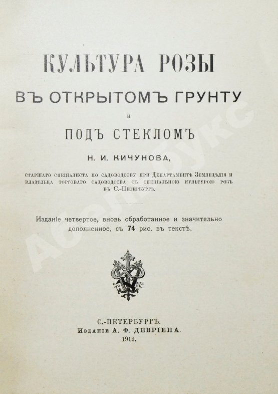 Антикварная книга Кичунов, Н.И. Культура розы в открытом грунту и под стеклом