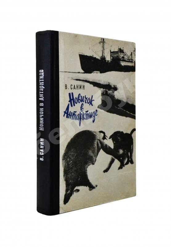 Антикварная книга Санин, В.М. [автограф] Новичок в Антарктиде. Первое издание