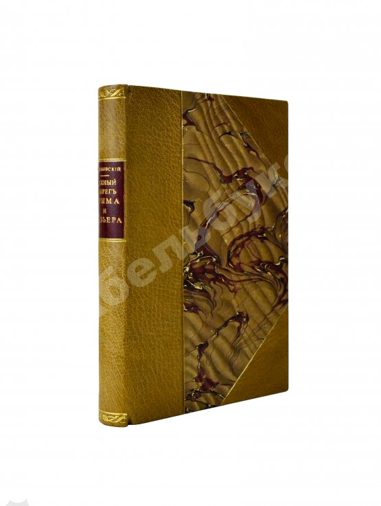 Антикварная книга Святловский, В.В. Южный берег Крыма и Ривьера