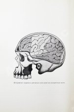 Сикорский, И.А. Книга жизни. Психологическая хрестоматия для школы и жизни