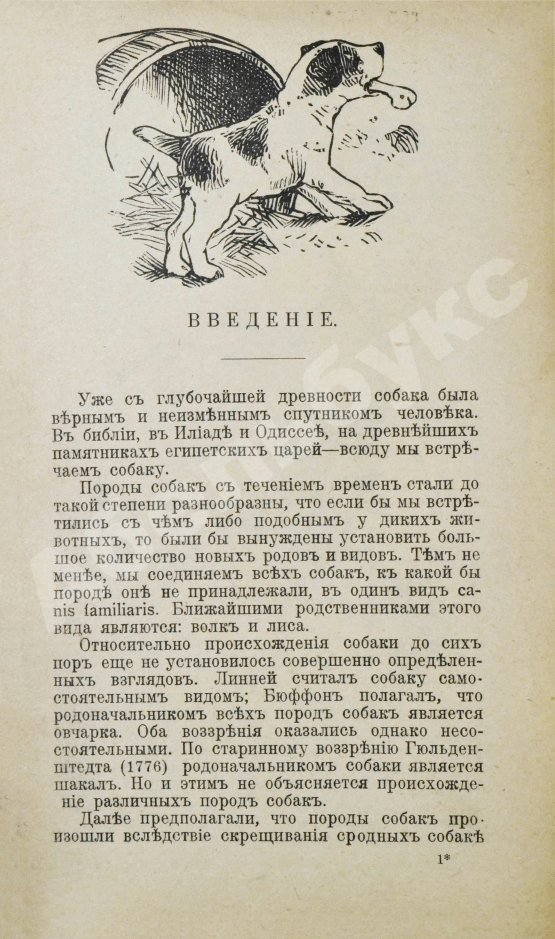 Антикварная книга Крихлер, Ф. Породы собак. Описание многочисленных пород собак: охотничьих, сторожевых, защитных и комнатных