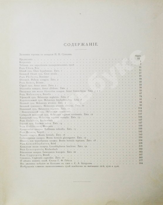 Антикварная книга Алфераки, С.Н. Гуси России
