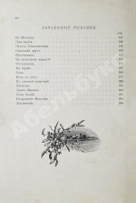 Гранстрем, Э.А. Два героя. В Новом свете. Завоевание Мексики (Из истории открытия Америки)